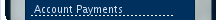 Account Payments